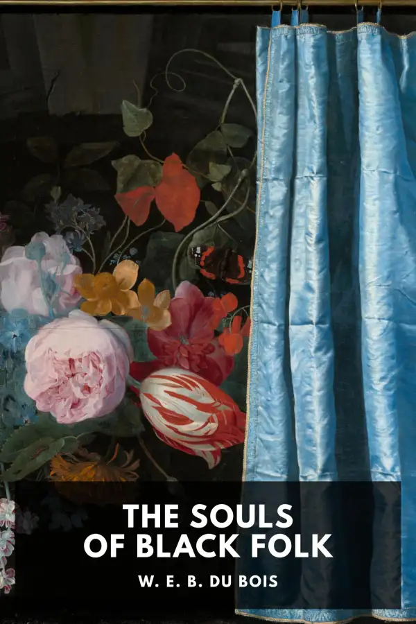 The Souls of Black Folk free epub cover